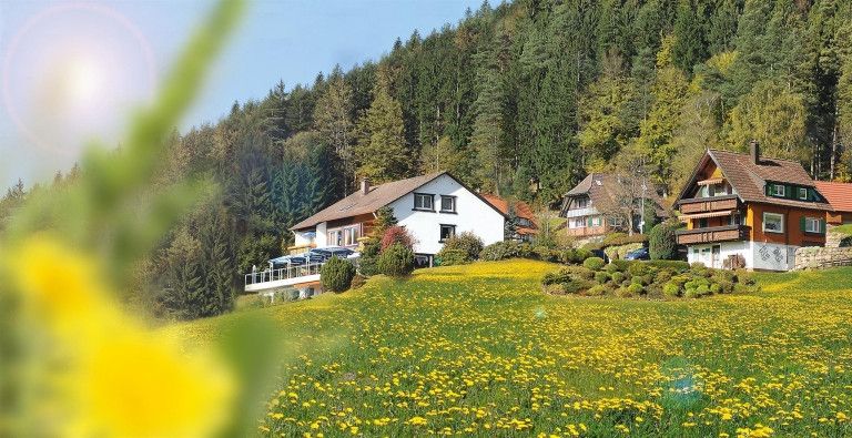 Café-Appartements-Ferienwohnung Hagkopf