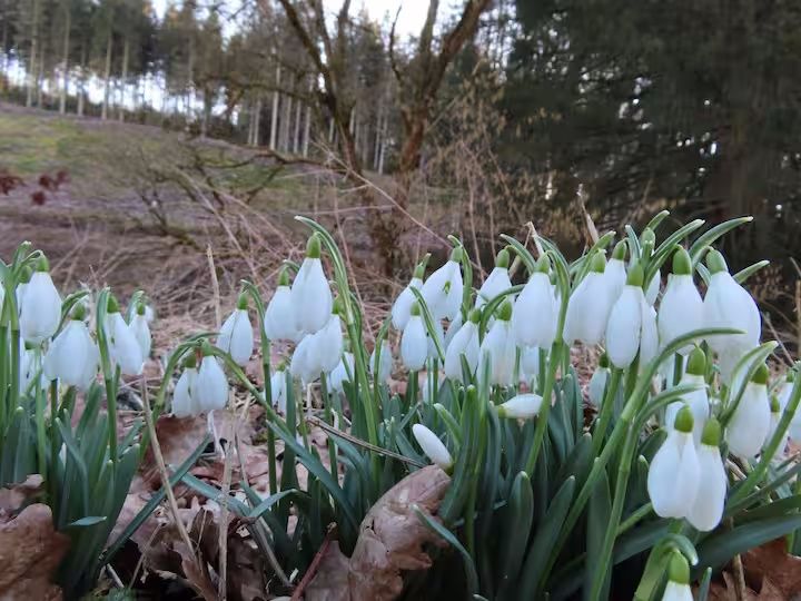 Ferienwohnung Mitten in der Natur