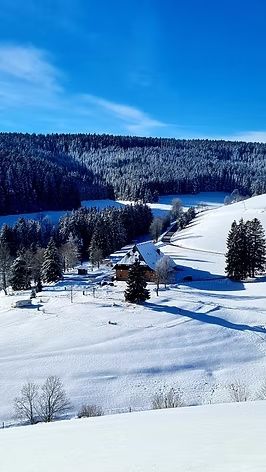 Campingplatz Zum wilden Michel