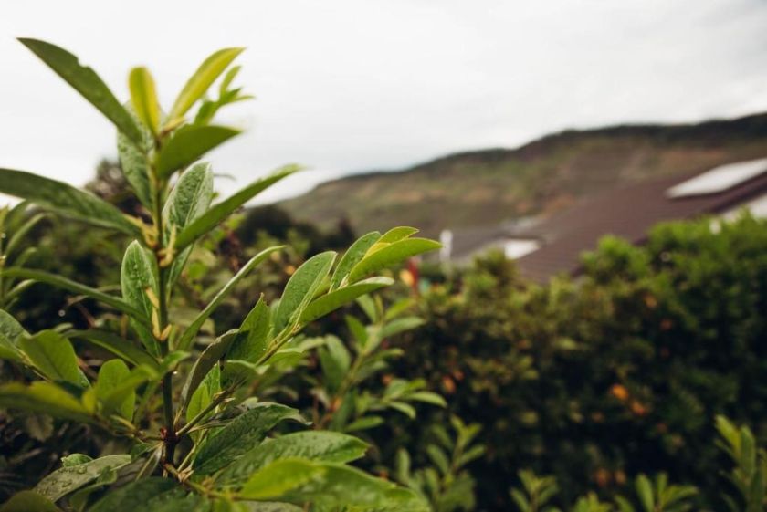 Ferienwohnung Kaufmann