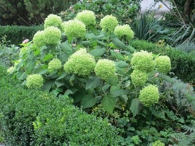 Ferienwohnung Dai Nonni