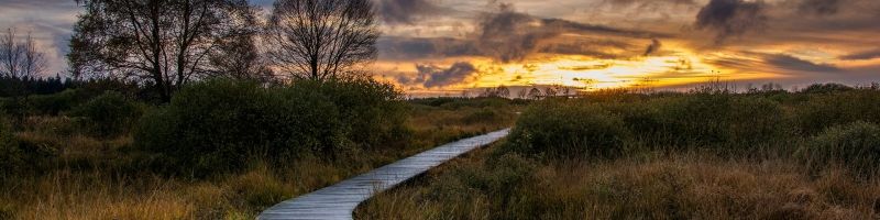 Das hohe Venn ist beliebt bei allen Wanderfreunden