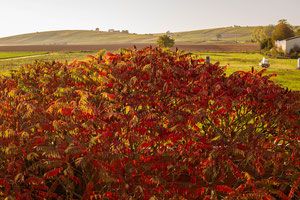Ferienwohnung Familie Dietz ****