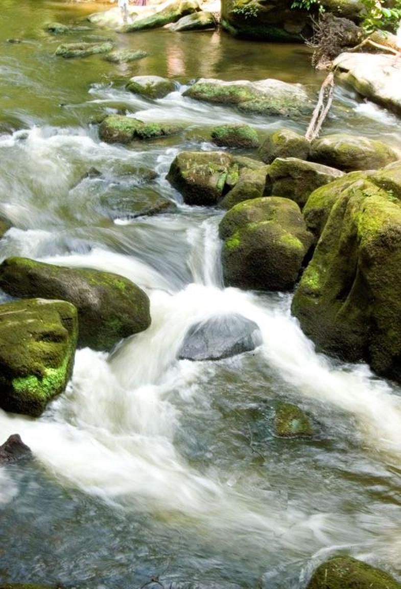 Hotel Restaurant Hauer - Bed & Bike - im Deutsch-Luxemburgischen Naturpark