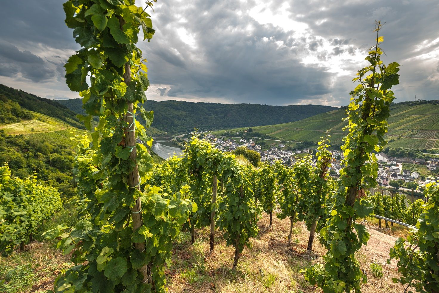 Sehenswürdigkeiten im Zellerland