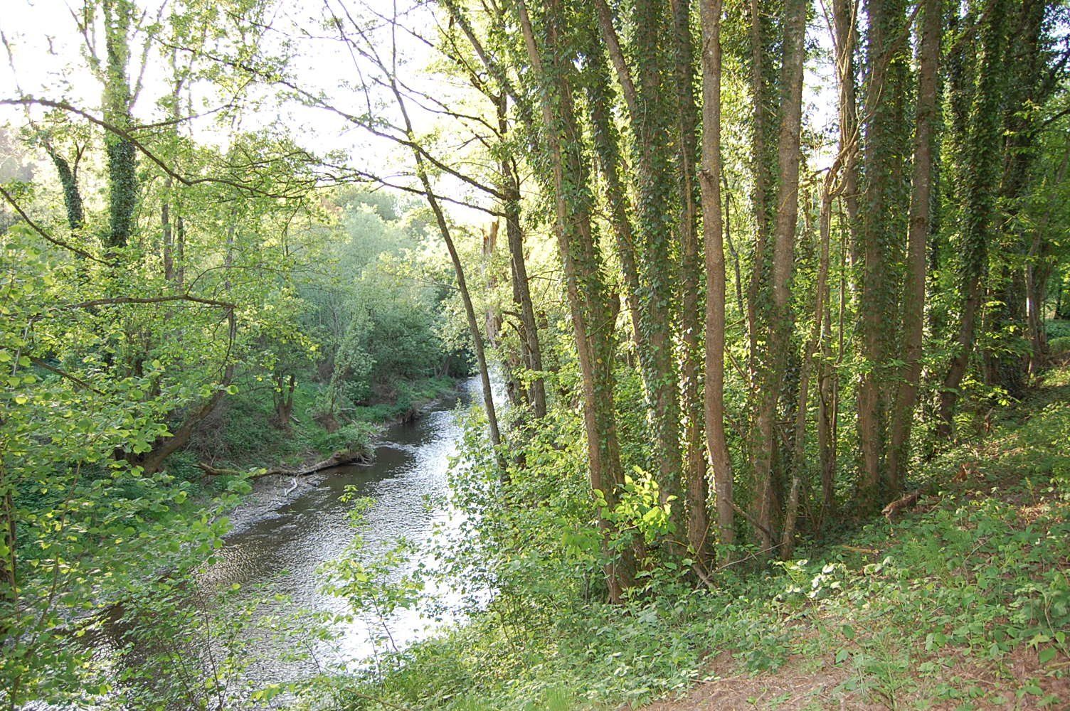 Ferienwohnung Urstromtal