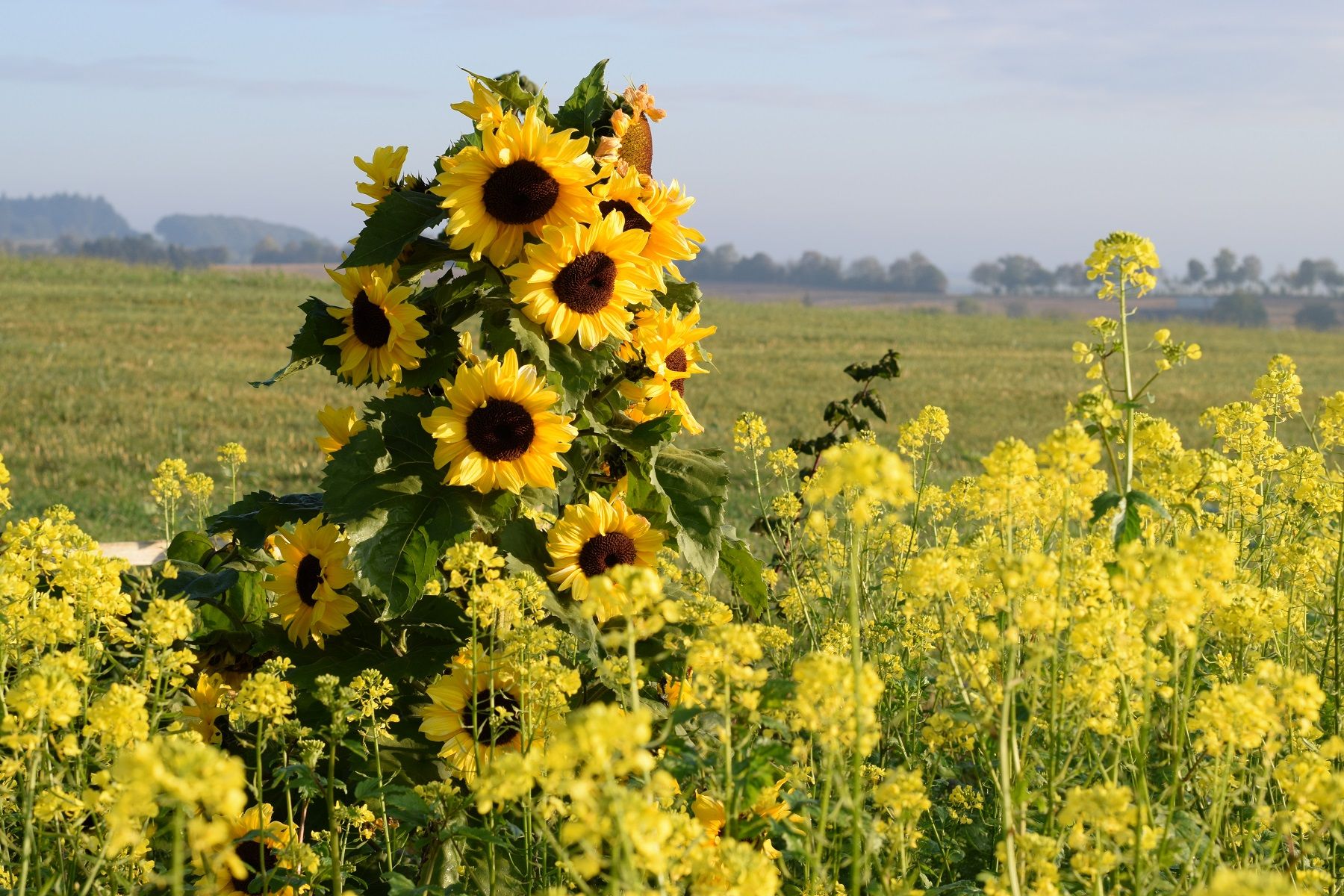 Ferienwohnungen Hetzgeshof