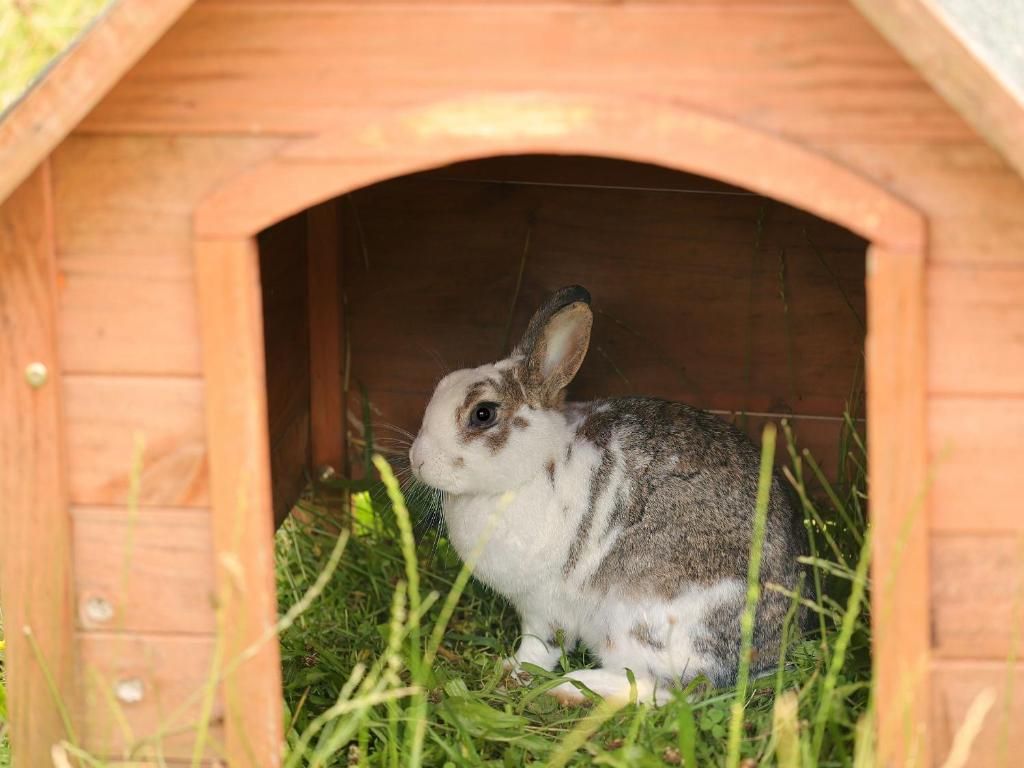 Ferienwohnung Landleben