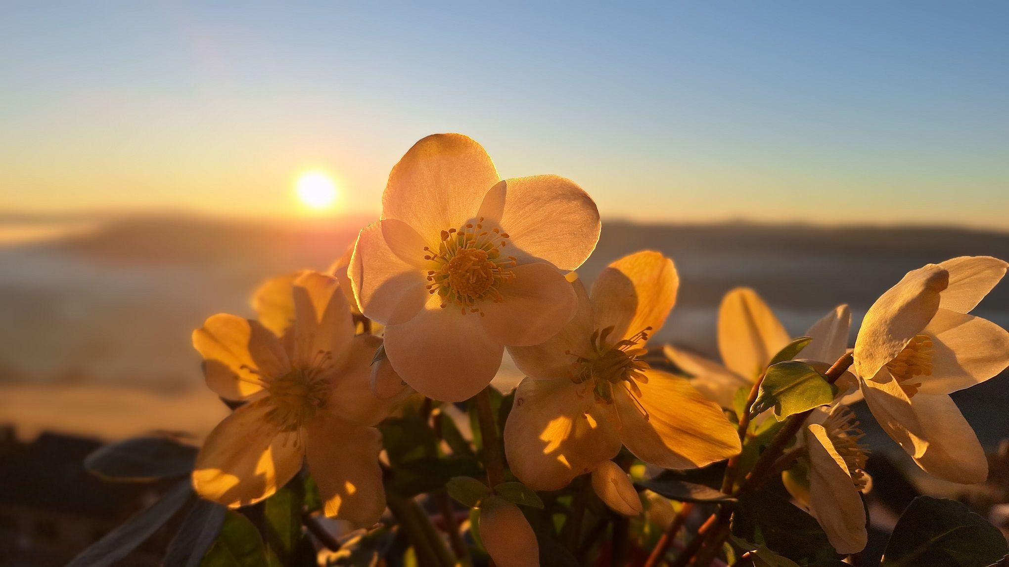 Landgasthof & Pension - Zur schönen Aussicht