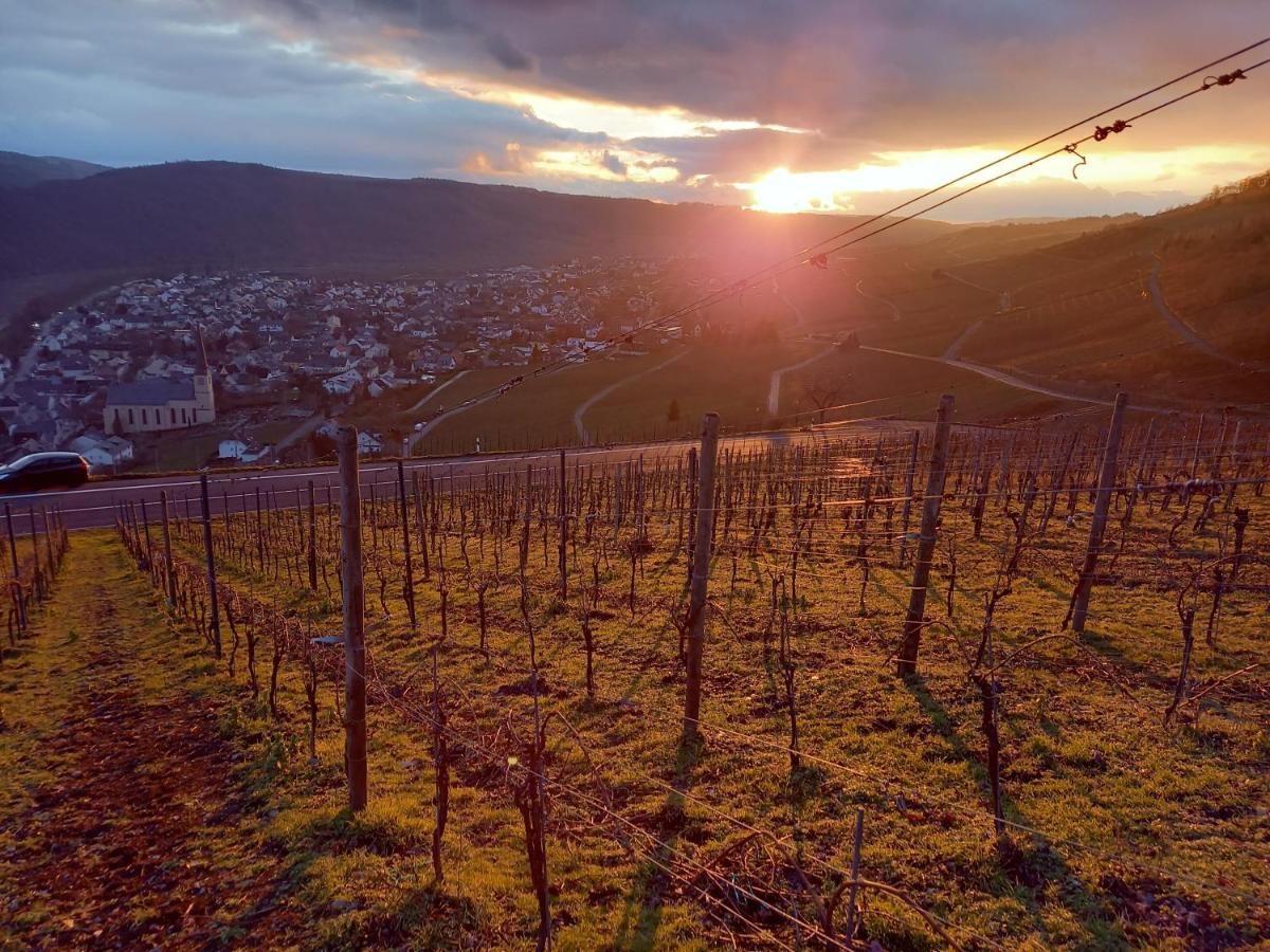 Weingut & Gästehaus Manfred Christoffel