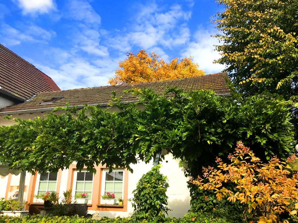 Ferienwohnung Enjoy 1