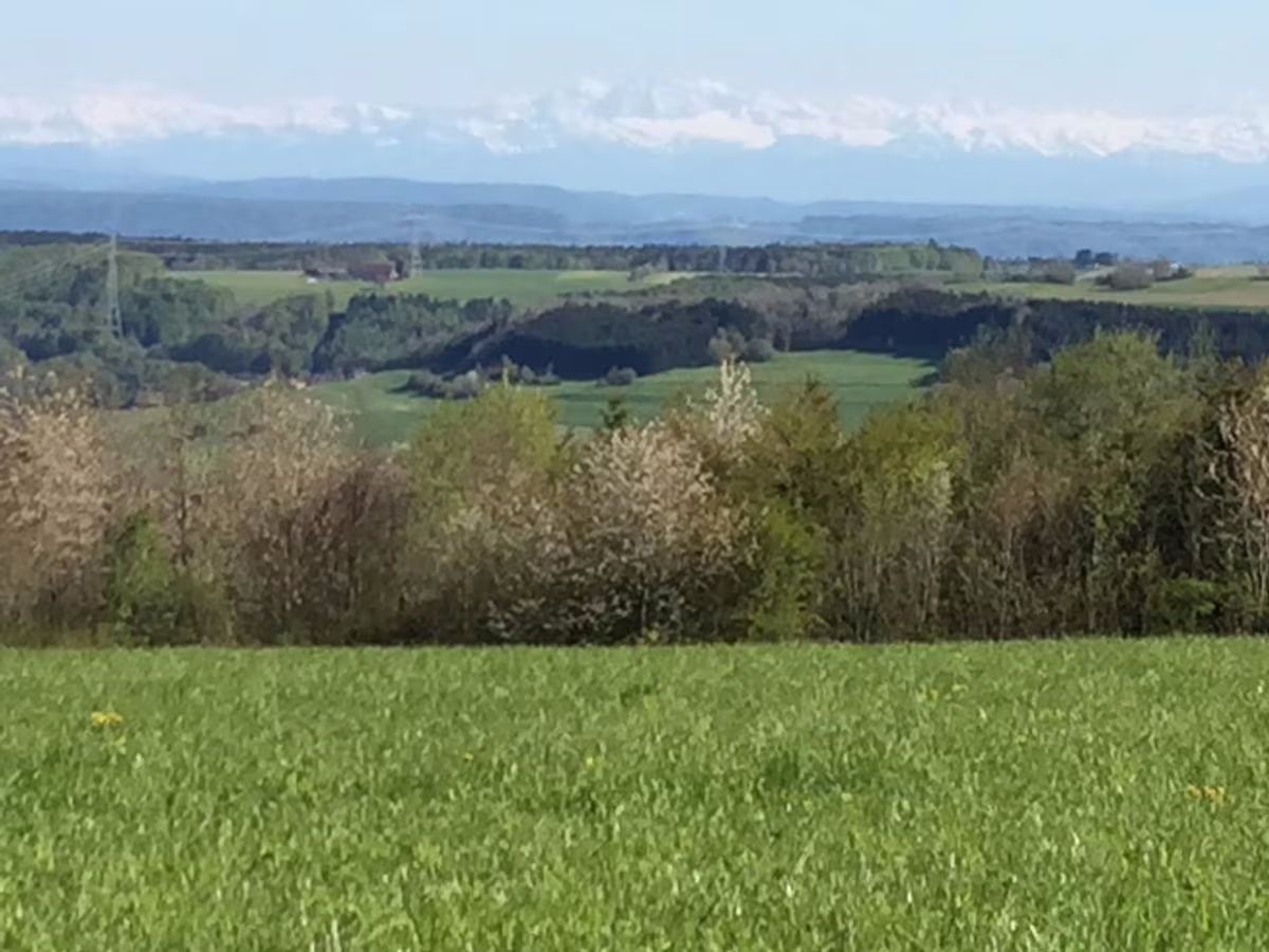 Ferienwohnung am Hardt