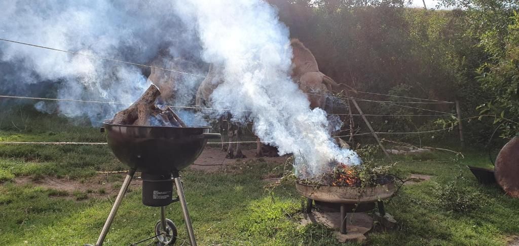 Gästehaus Wilder Mann