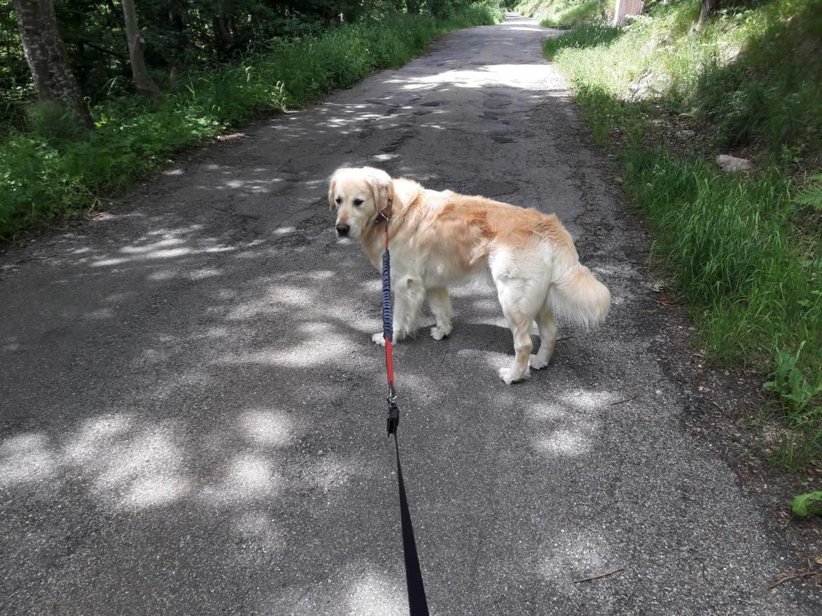 Ferienwohnung Haus Maria