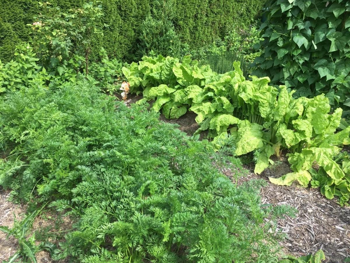 Ferienhaus Landhaus Almyssen