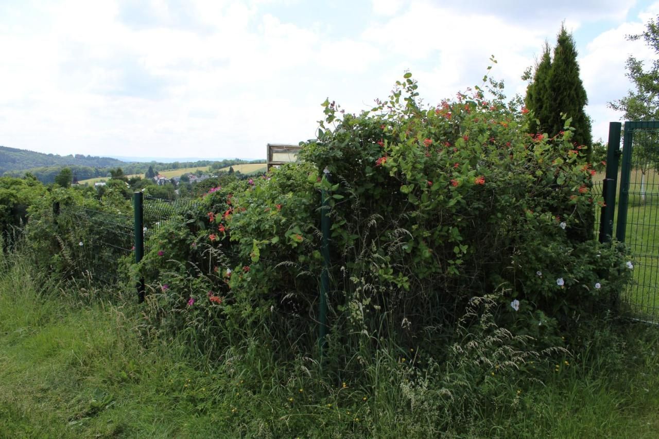 Ferienhaus Landhaus Almyssen
