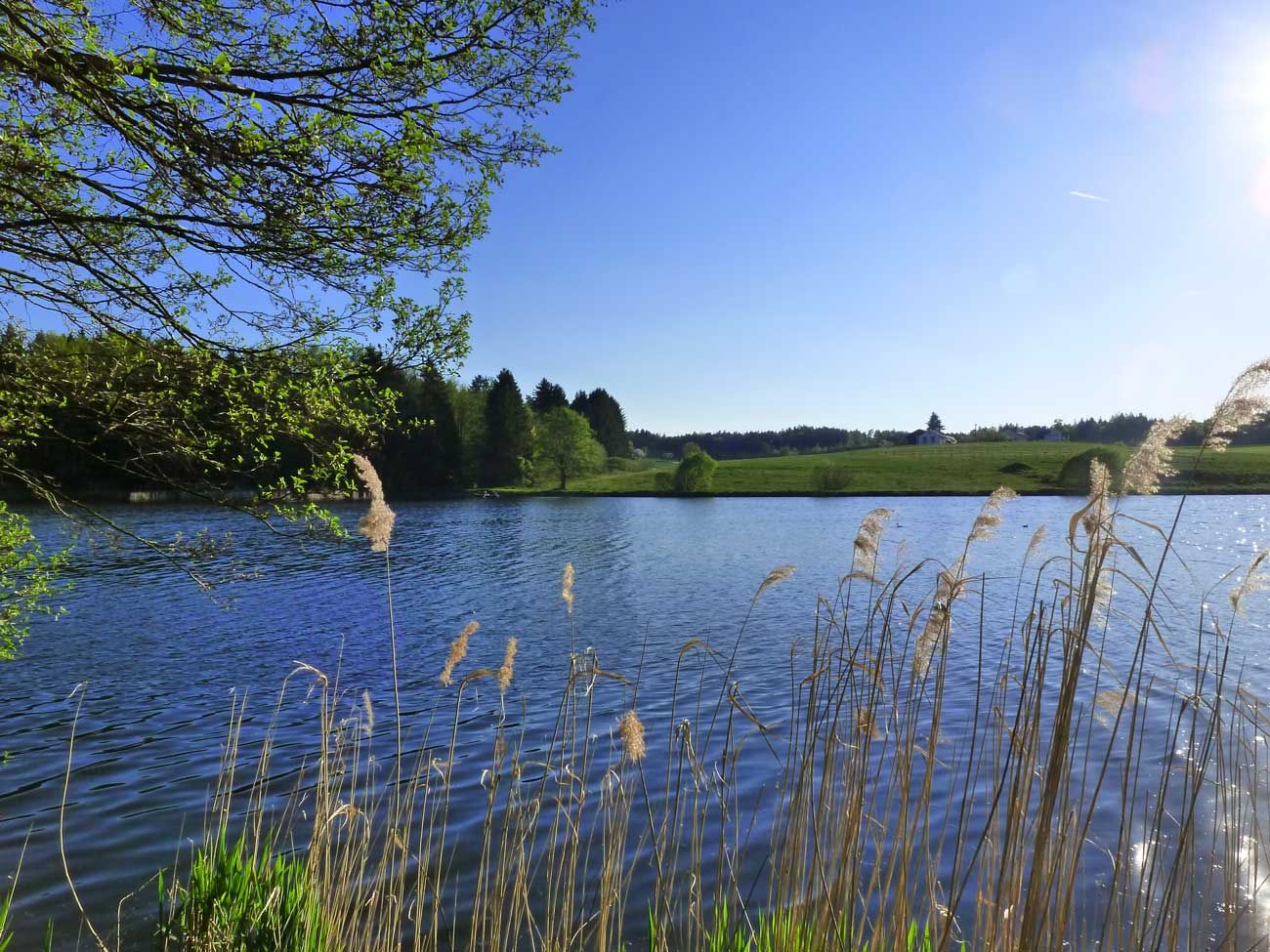 Hammerschmiedesee – Campingplatz und Teichgut