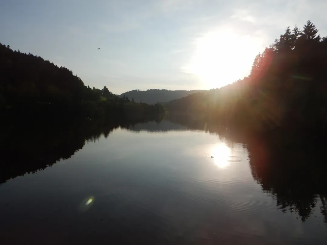 Baumhaus Erzgrube Seeblick