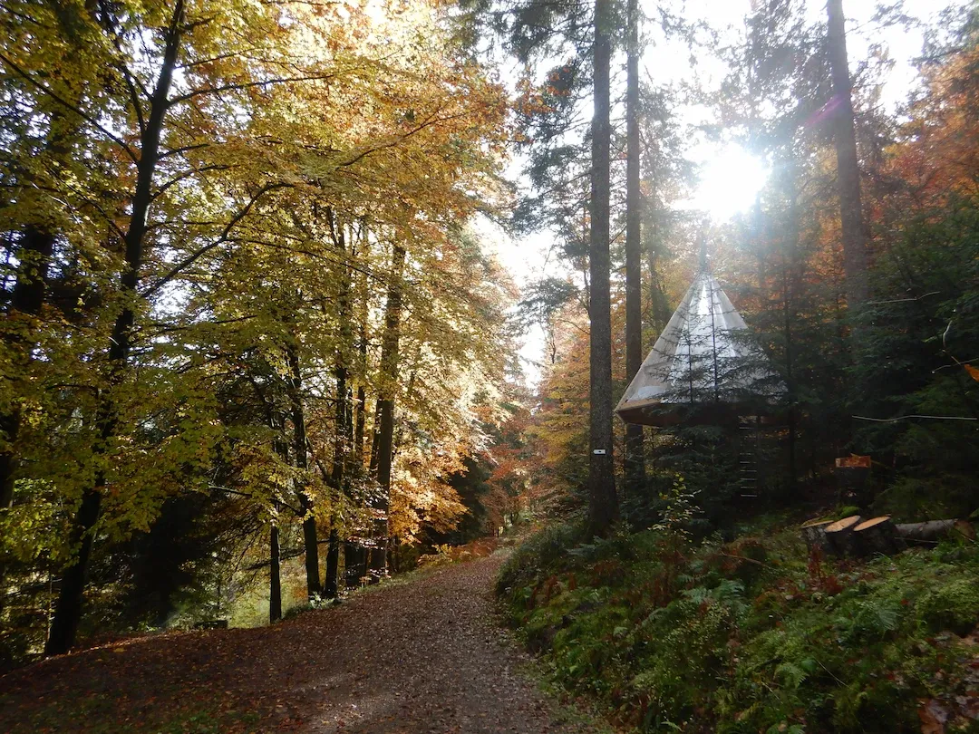 Baumhaus Dobel Eyachmühle