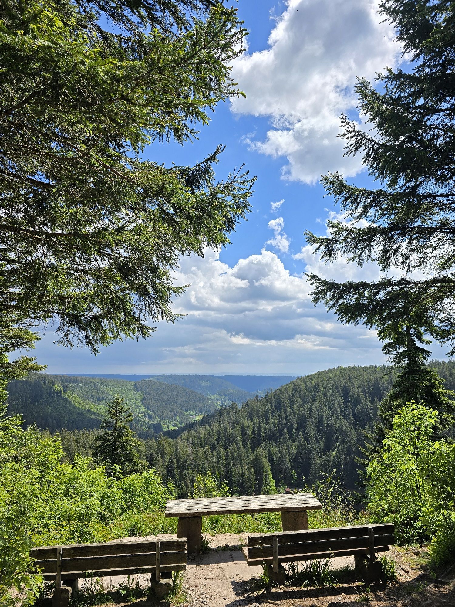 Ferienwohnung Schwarzwaldsteig
