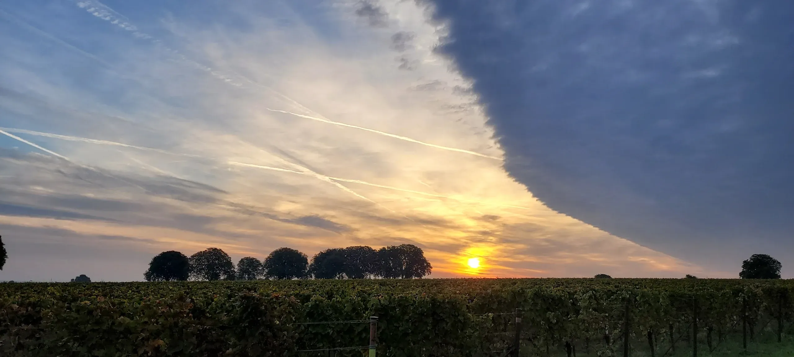 Ferienwohnung an der Weinstraße Gleisweiler