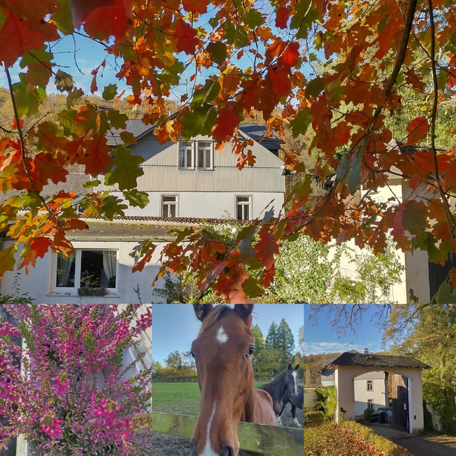 Gästehaus Etzauer Mühle