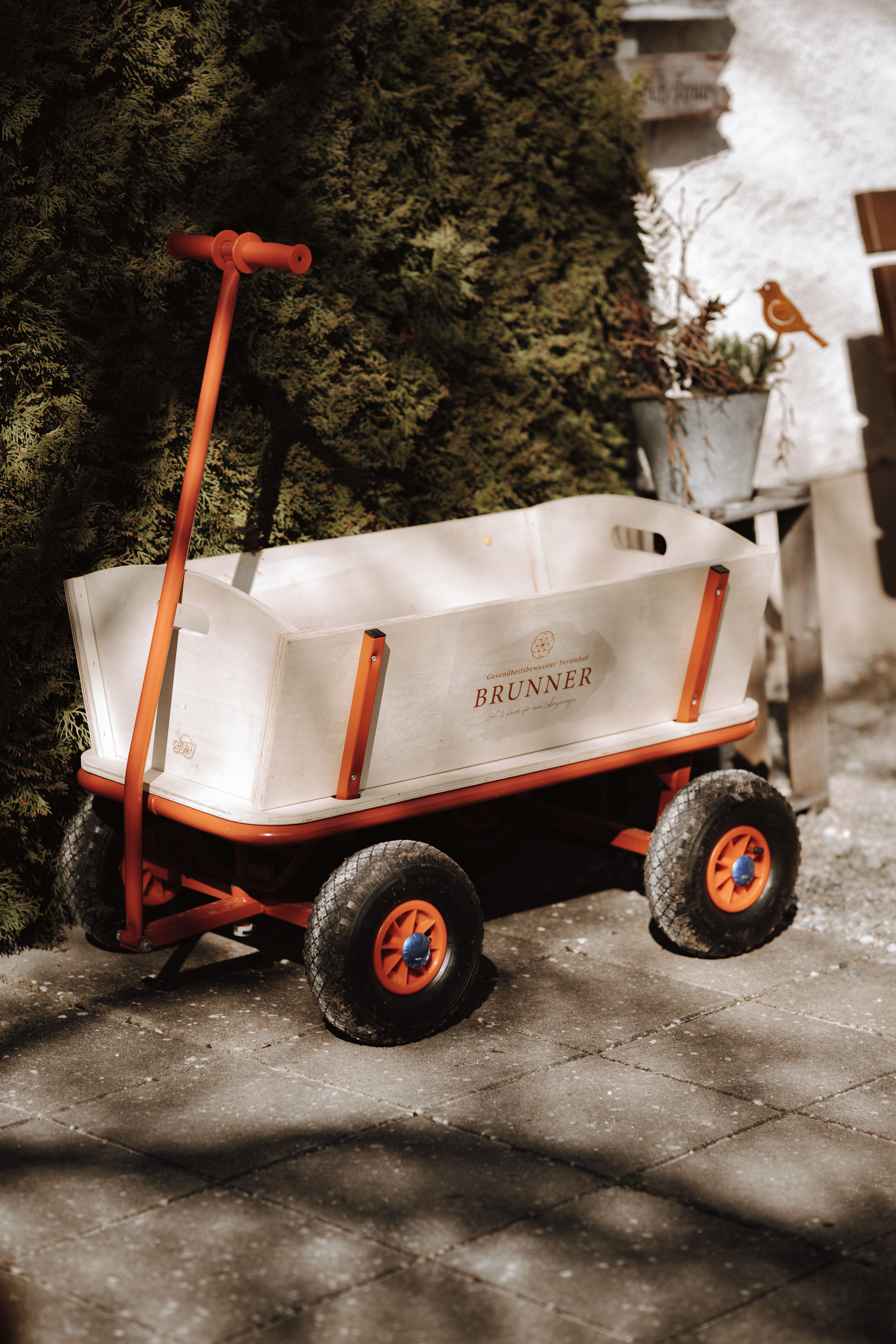 XXL-Ferienwohnung Blumenwiese