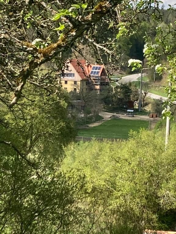 Ferienwohnung Dachsmühle - Natur und Tiere - Toll für Kinder und Wanderer
