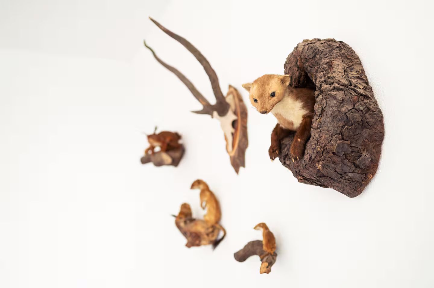 Ferienhof Obertor Heuboden