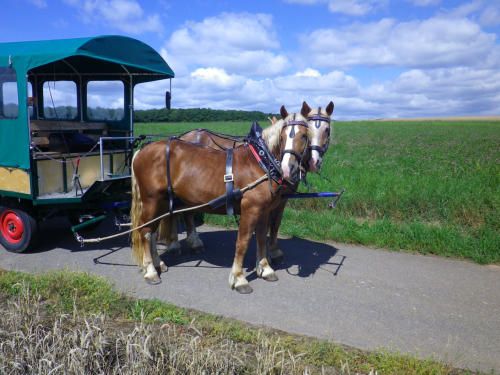 Hotel & Restaurant Reckweilerhof