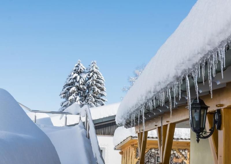 Ferienhaus Apfelbäumchen Hochschwarzwald