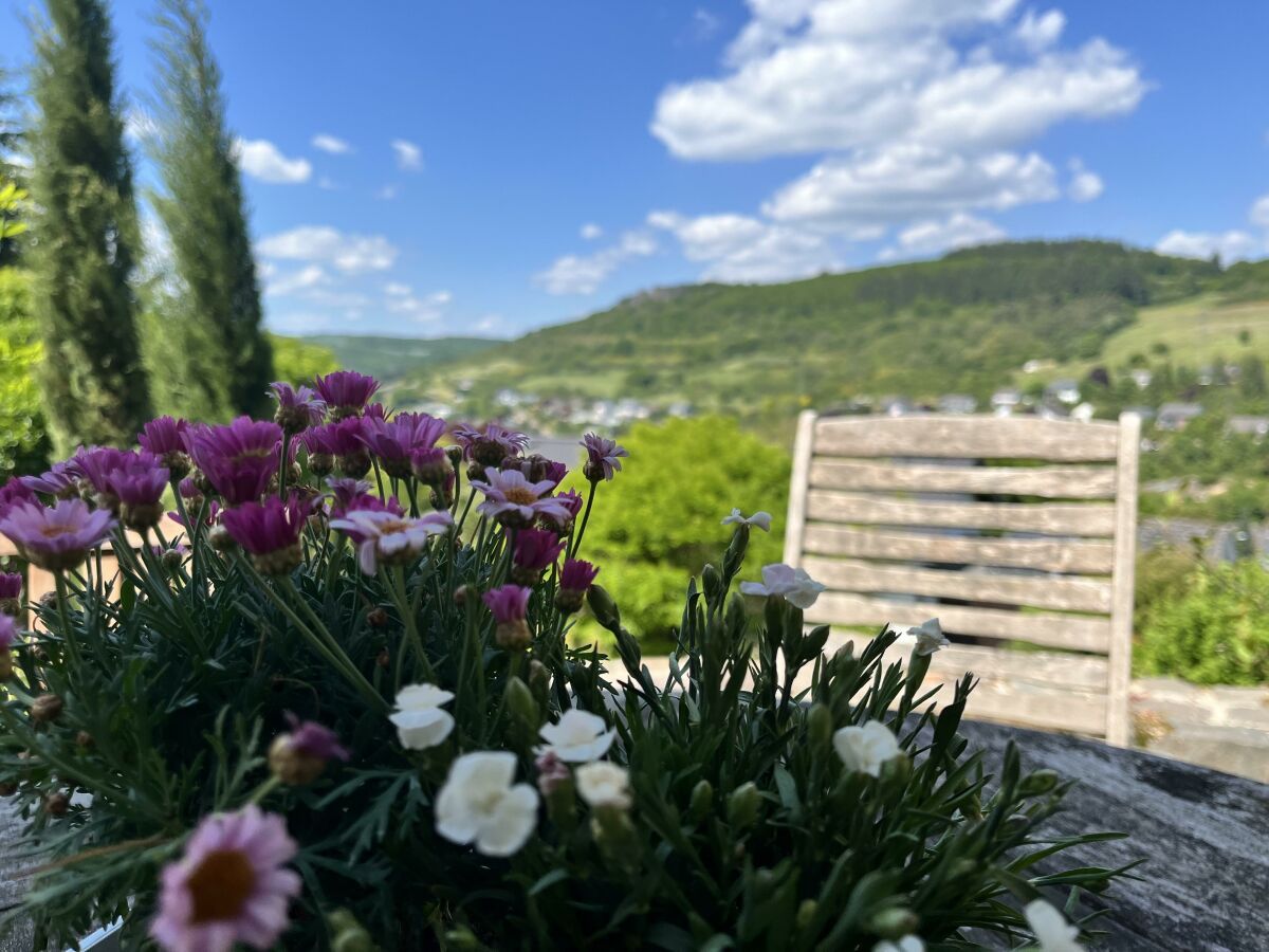 Urlaub für Körper und Geist - Ferienwohnung 