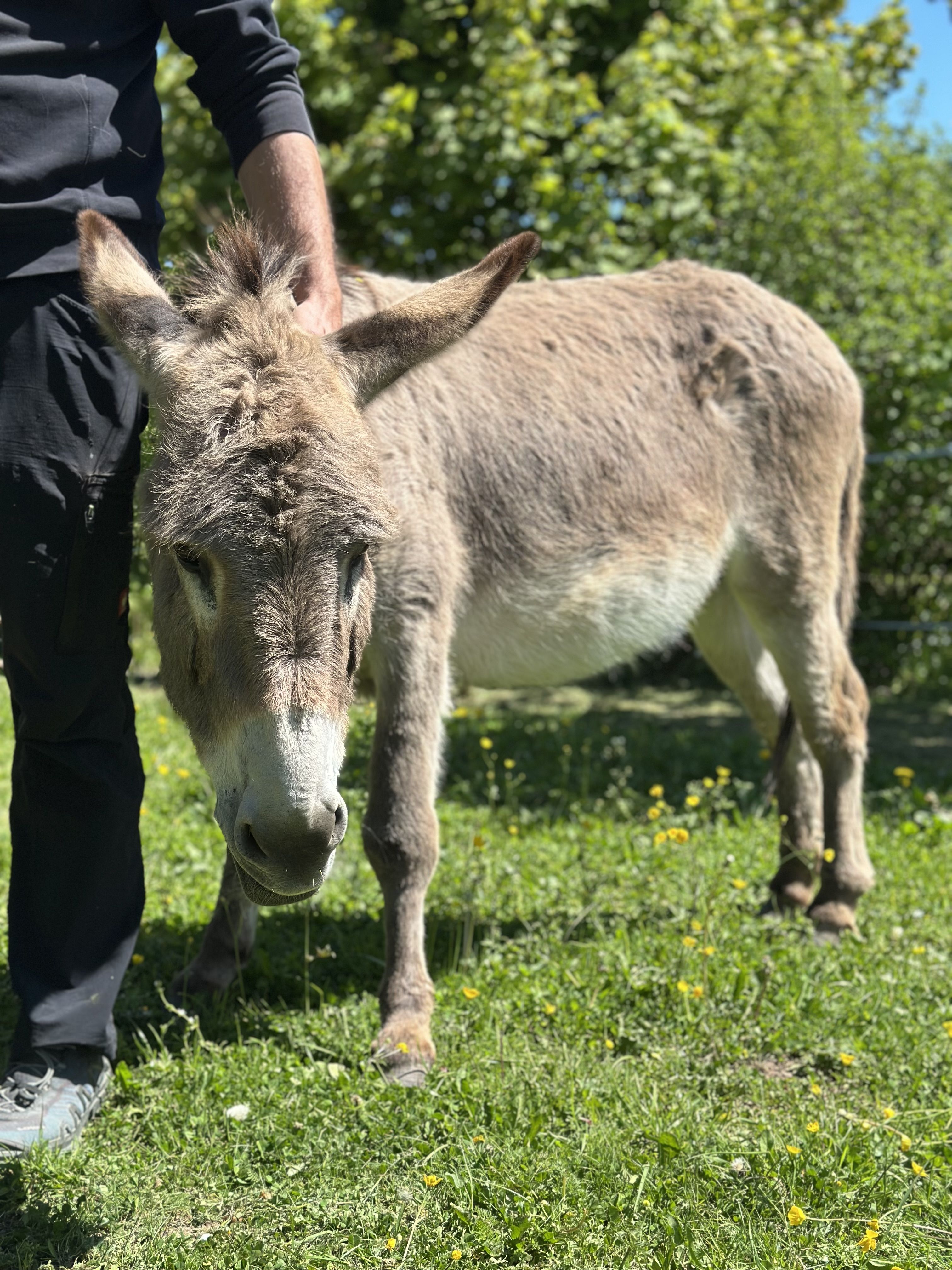 Ferienhaus Op dem Bersch 