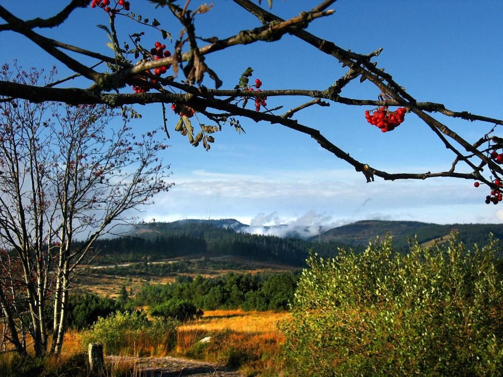 Ferienwohnung Landhaus Seiler