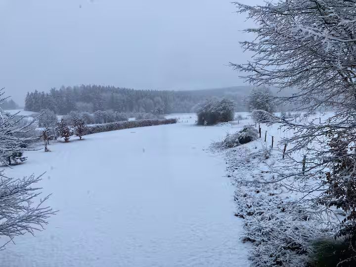 Ferienwohnung Mitten in der Natur