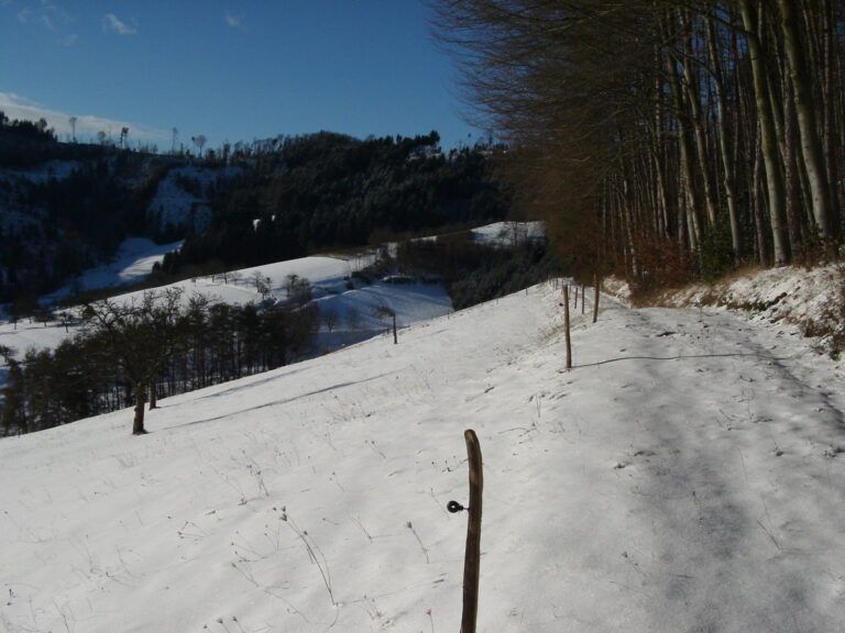 Ferienwohnungen Helmut Schillinger