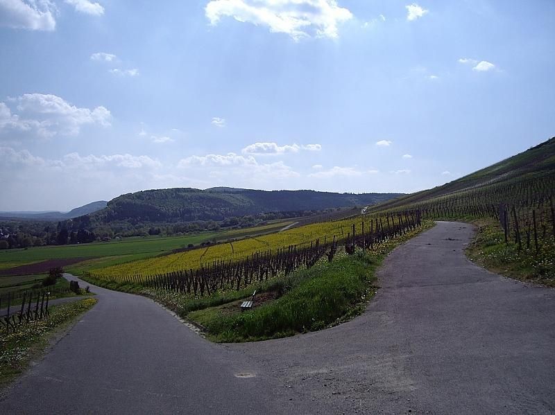 Weingut & Ferienwohnung Winfried Winter - Urlaub auf dem Winzerhof - Mittelmosel