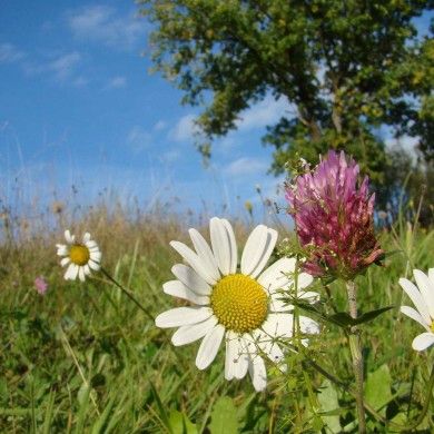 Midweek (Sonntag - Freitag/5 Übernachtungen)