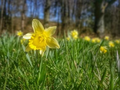 Hotels, Campingplätze und Ferienwohnungen in Fuchshofen