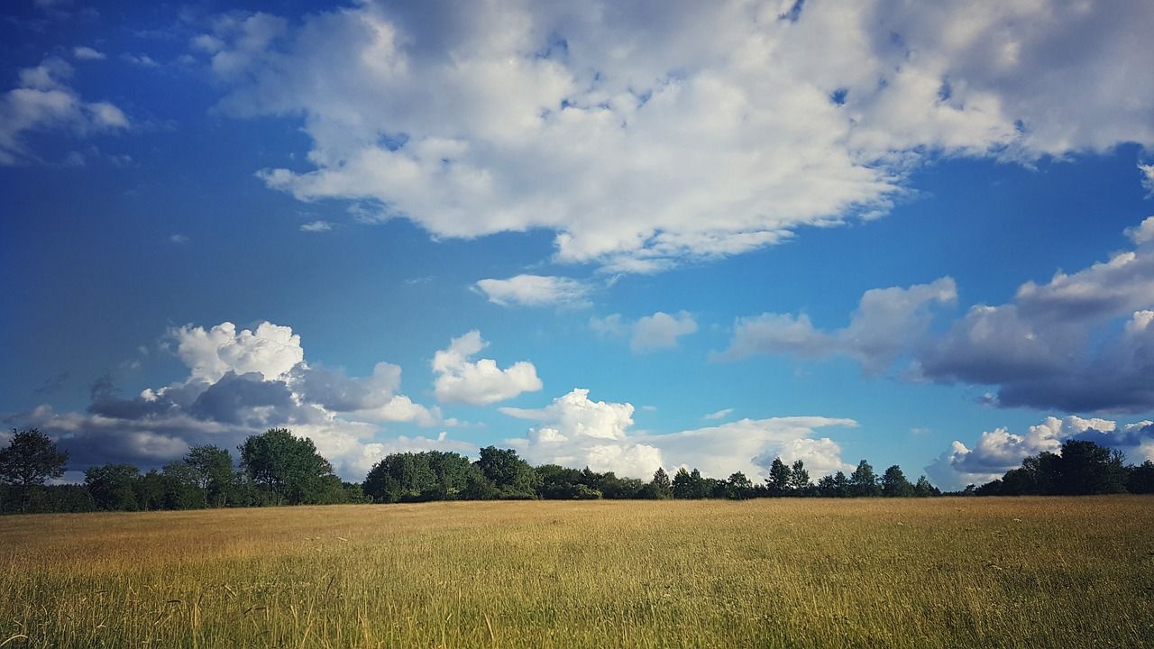 Hotels, Campingplätze und Ferienwohnungen in Büllingen