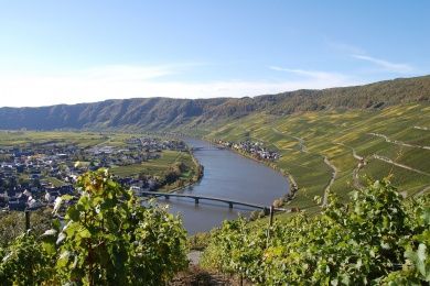 Medarduskirmes in Mehring