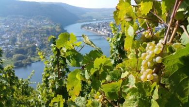 Weinfest Zum wohl Riol 