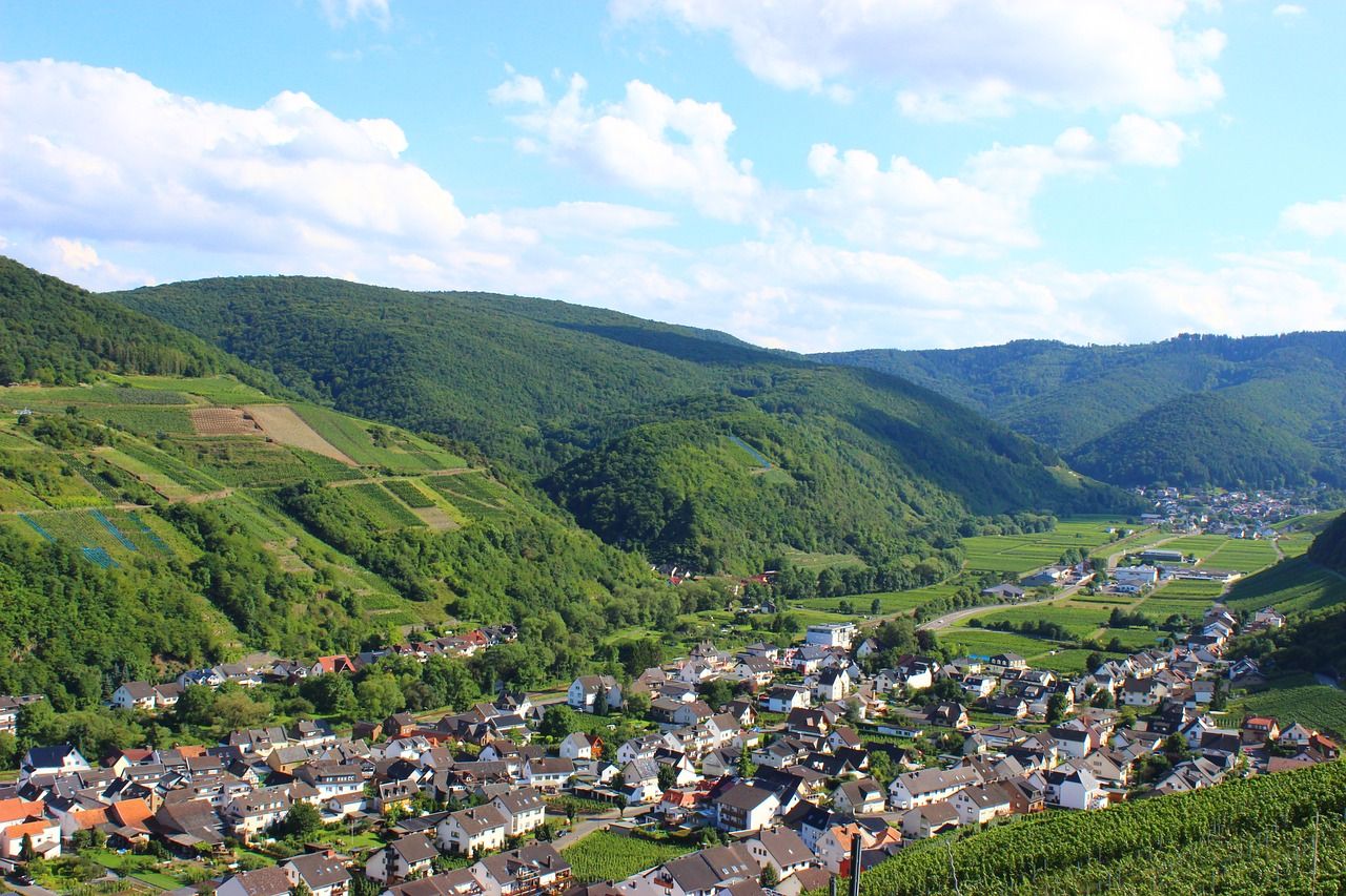 Dernauer Weinfrühling