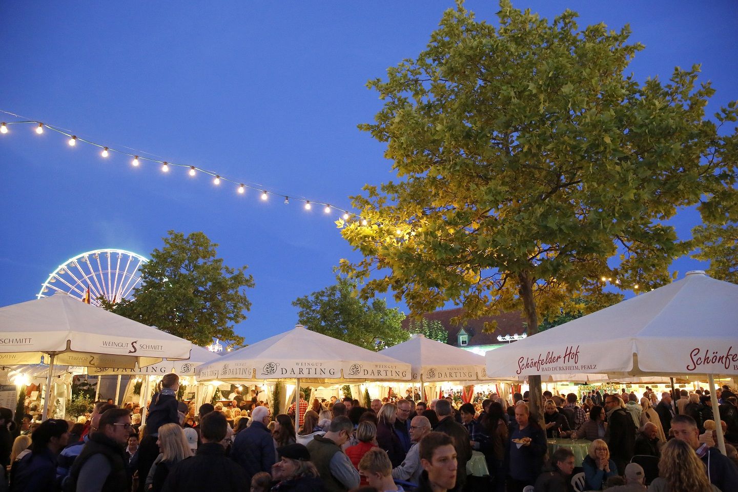 Veranstaltungen in Bad Dürkheim