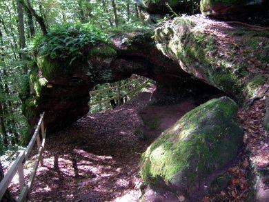 felsenwald.jpg