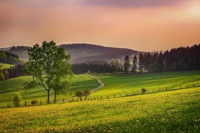 sauerland-gf9aec70c0_1280.jpg