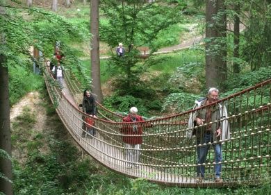 binger wald.jpg