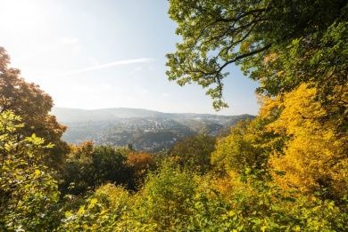 nahesteig.jpg