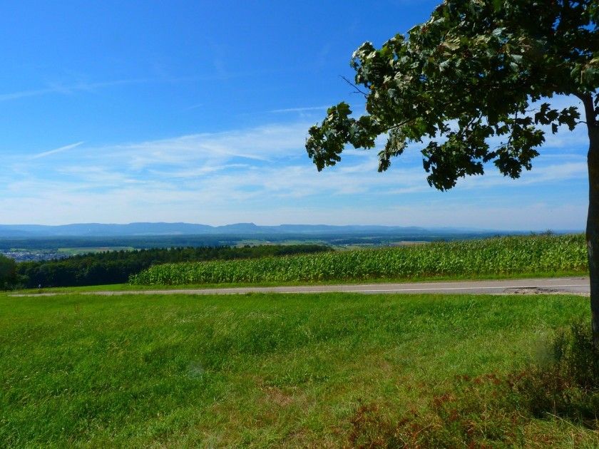 DonauWelle Klippeneck-Steig