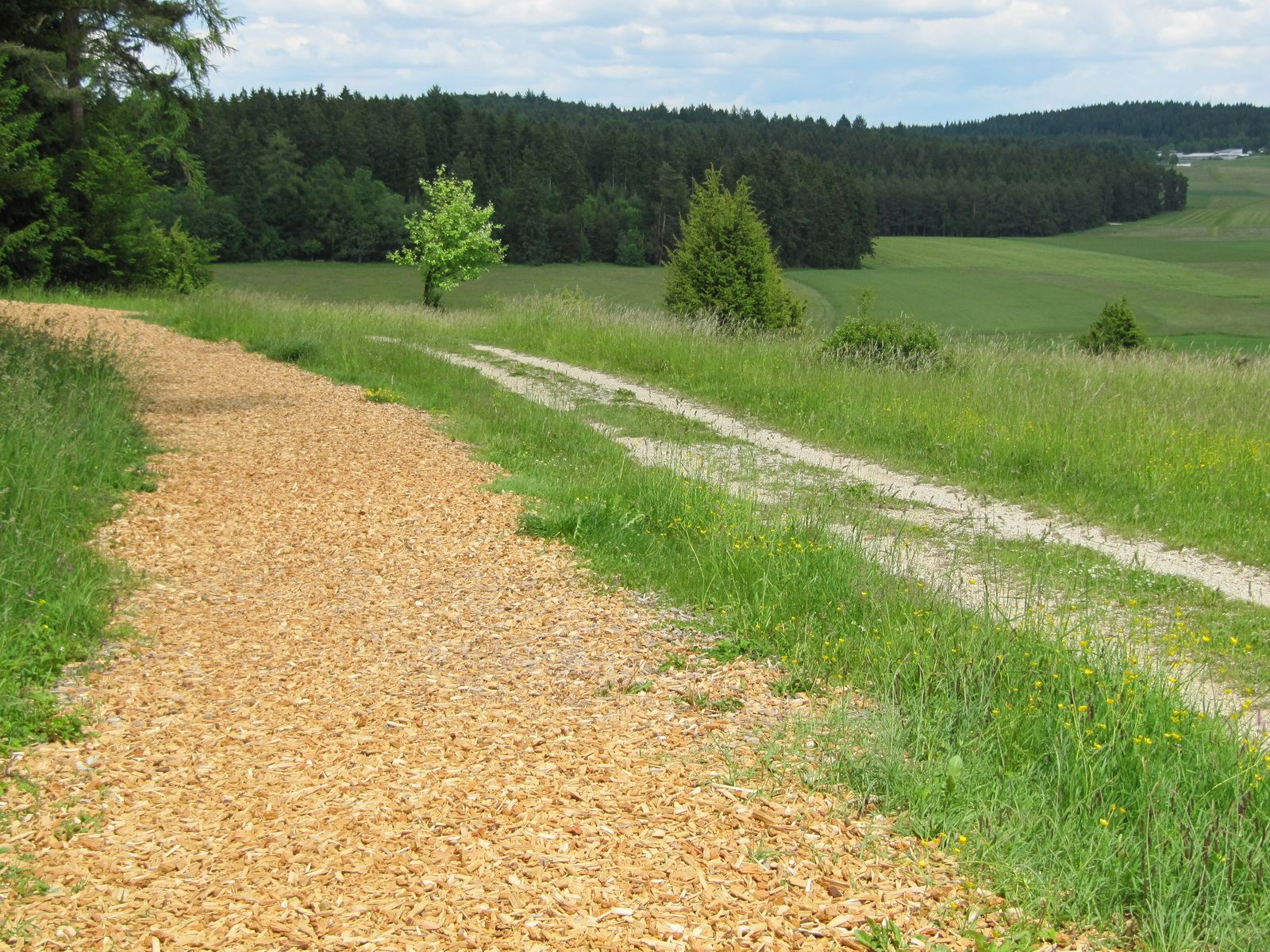Traufgang Schlossfelsenpfad